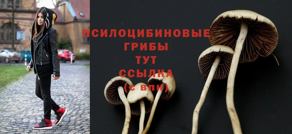 твердый Аркадак