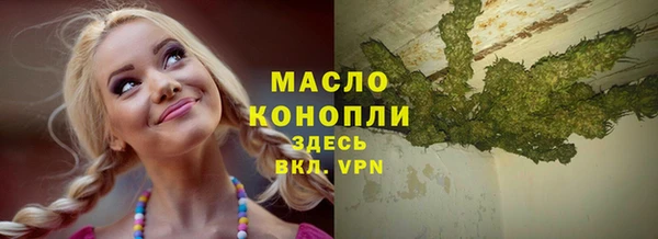 хмурый Арсеньев