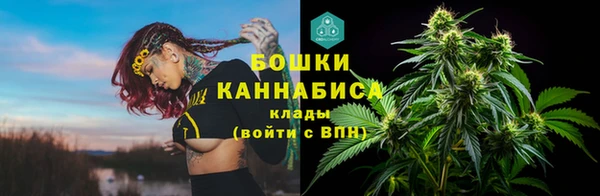 хмурый Арсеньев