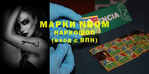 хмурый Арсеньев