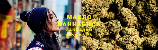 хмурый Арсеньев